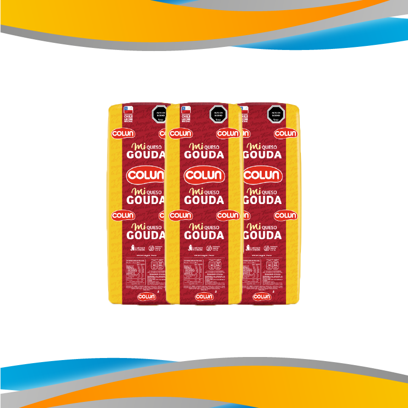 QUESO GAUDA COLUN LAMINADO